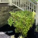 Cesar’s A 2 Z Lawn Care LLC offers services of Landscape Design, Lawn Care, Gutter Clearing, Pressure Washing, Roof Cleaning, Spring Clean Ups, Mulch Removal, Trimming, Cleaning and More, Driveway Wash in Albertville, AL, Boaz, AL, Guntersville, AL, Huntsville, AL, Arab, AL, Gadsden, AL, Sardis City, AL - Landscape Design