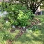 Cesar’s A 2 Z Lawn Care LLC offers services of Landscape Design, Lawn Care, Gutter Clearing, Pressure Washing, Roof Cleaning, Spring Clean Ups, Mulch Removal, Trimming, Cleaning and More, Driveway Wash in Albertville, AL, Boaz, AL, Guntersville, AL, Huntsville, AL, Arab, AL, Gadsden, AL, Sardis City, AL - Landscape Design