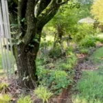 Cesar’s A 2 Z Lawn Care LLC offers services of Landscape Design, Lawn Care, Gutter Clearing, Pressure Washing, Roof Cleaning, Spring Clean Ups, Mulch Removal, Trimming, Cleaning and More, Driveway Wash in Albertville, AL, Boaz, AL, Guntersville, AL, Huntsville, AL, Arab, AL, Gadsden, AL, Sardis City, AL - Landscape Design