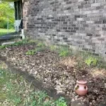 Cesar’s A 2 Z Lawn Care LLC offers services of Landscape Design, Lawn Care, Gutter Clearing, Pressure Washing, Roof Cleaning, Spring Clean Ups, Mulch Removal, Trimming, Cleaning and More, Driveway Wash in Albertville, AL, Boaz, AL, Guntersville, AL, Huntsville, AL, Arab, AL, Gadsden, AL, Sardis City, AL - Landscape Design